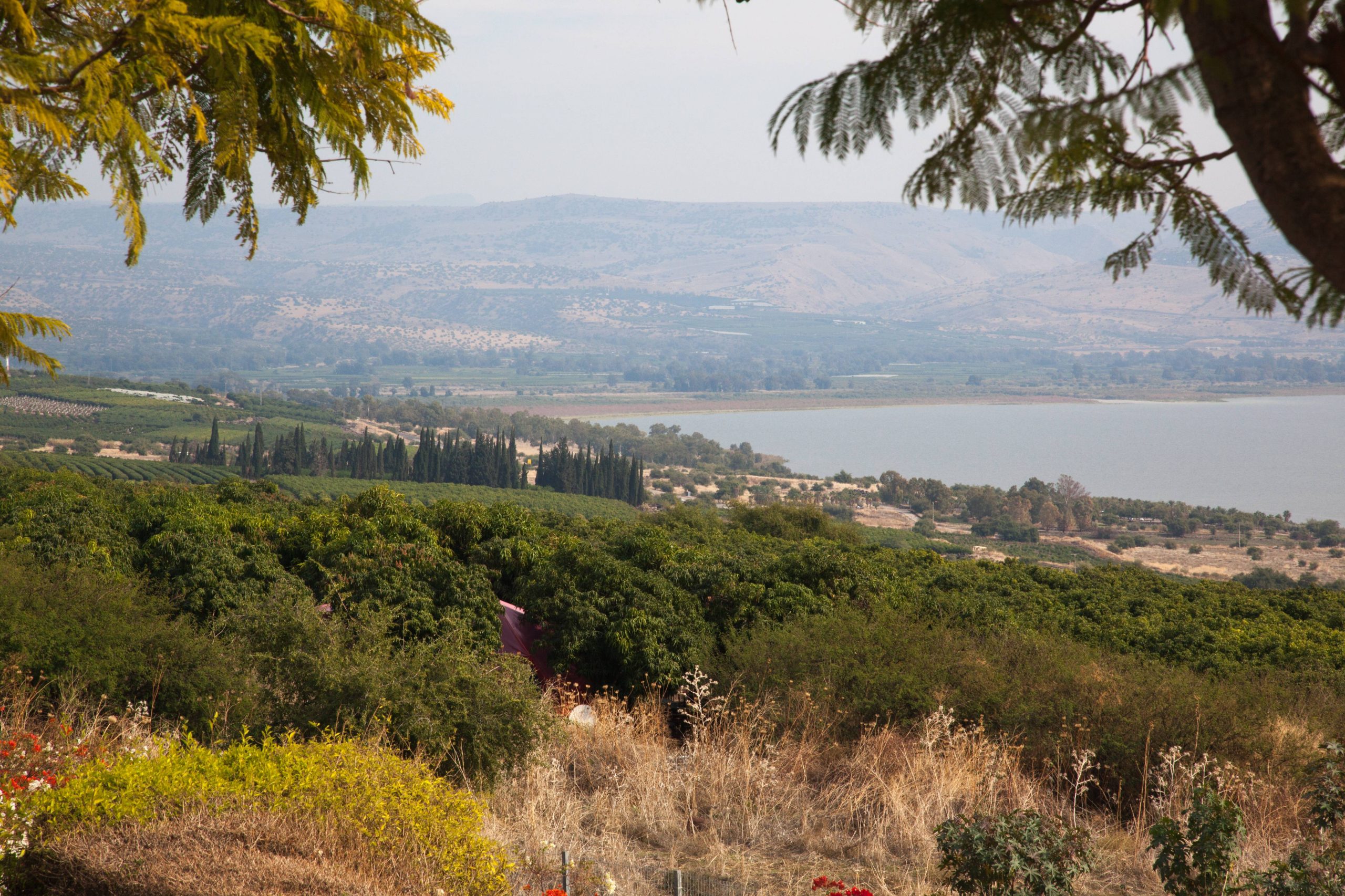 sea-of-galilee-from-tiberais-israel-2026-01-11-10-26-16-utc (1)
