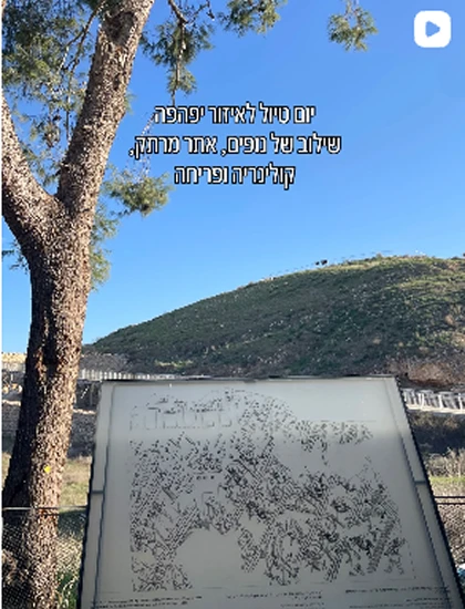 קולינריה ופריחה
