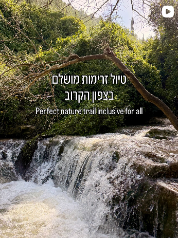 צילום מסך 2026-03-18 155603